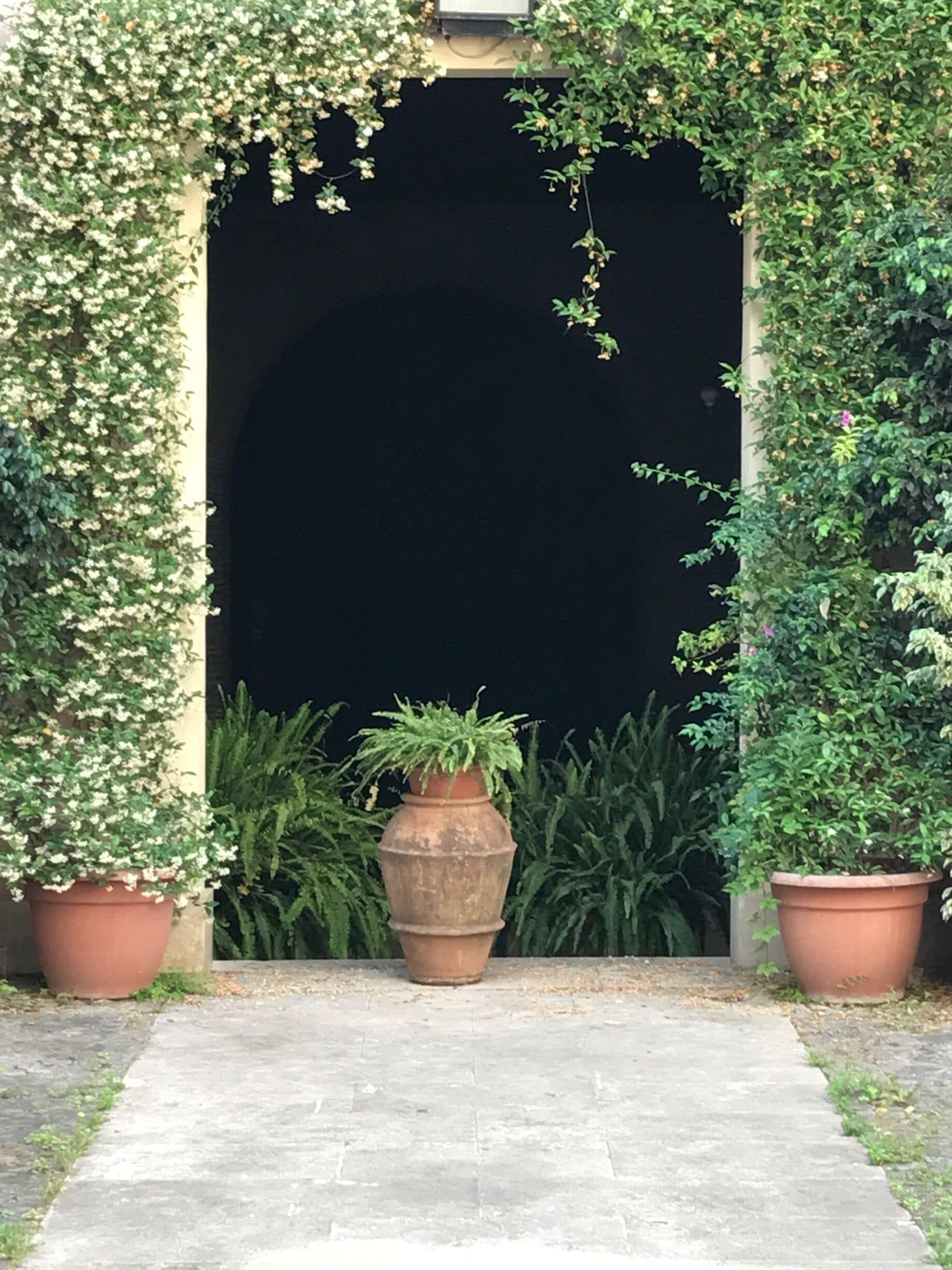 View into the backyard
