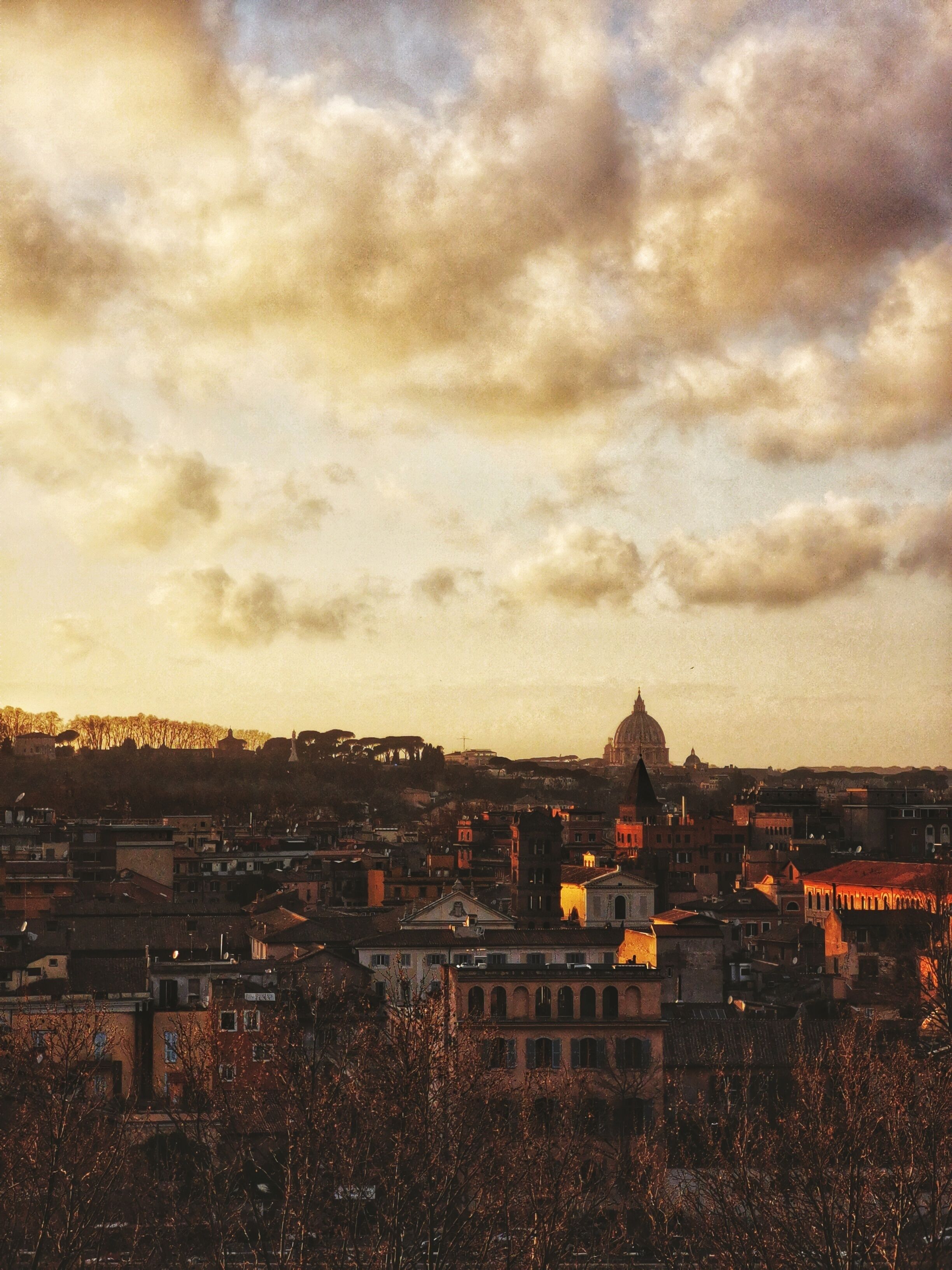 Sunset in orange garden, Rome