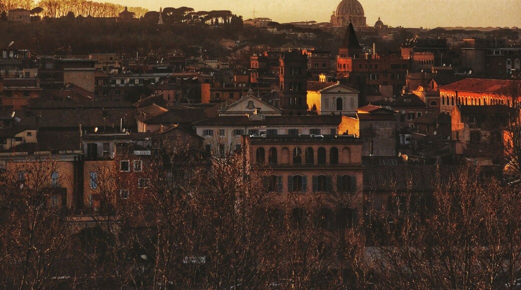 Sunset in orange garden, Rome