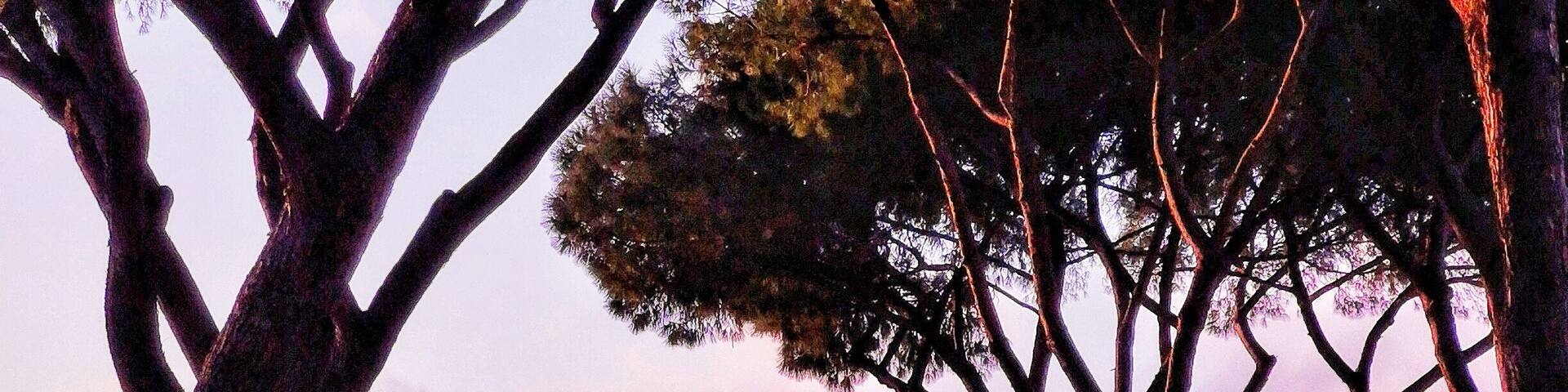 Beautiful place for the beloved sunset, with view as far as Vatican!