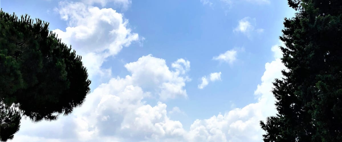 The ruins of Ostia Antica are not as famous as the Colosseum and the Roman Forum but they are no less glorious. You will find the abandoned city along the Tiber to have incredibly preserved mosaic floors, streets and remnants of homes and theatres. A map is a must if you opt to go on your own. #History