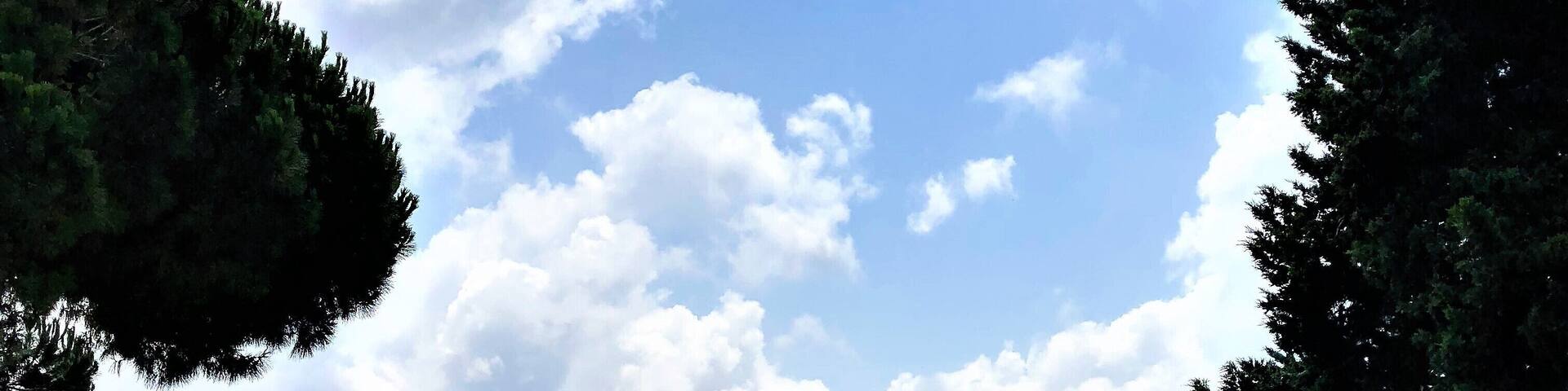 The ruins of Ostia Antica are not as famous as the Colosseum and the Roman Forum but they are no less glorious. You will find the abandoned city along the Tiber to have incredibly preserved mosaic floors, streets and remnants of homes and theatres. A map is a must if you opt to go on your own. #History