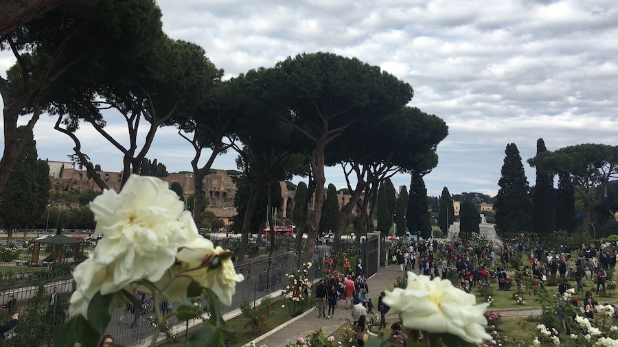 Roseraie Municipale de Rome