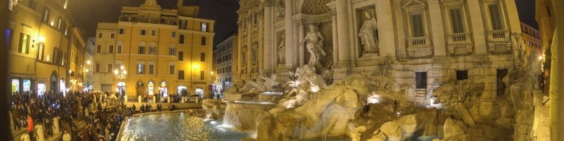 Trevi Fountain at night
#desktop