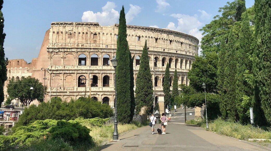 Took a bike tour and the first view was the colosseum. Tour was good - but Rome is a terrible city to try to bike it with all the people and the roads. Got to see a lot quickly though...