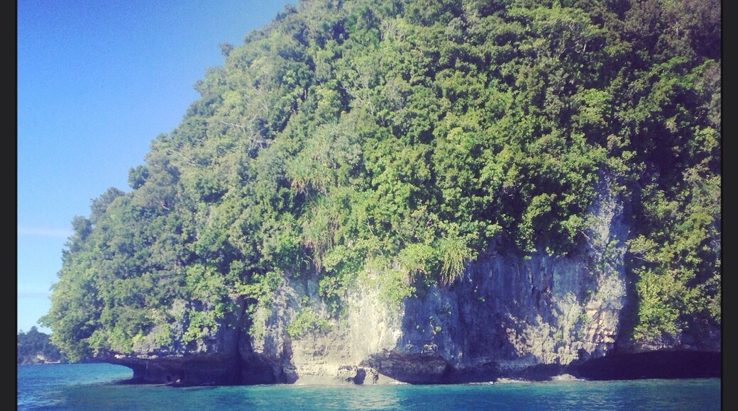 Palau is just beautiful. The daily boat ride to the dive sites is just as magic as the scuba diving.