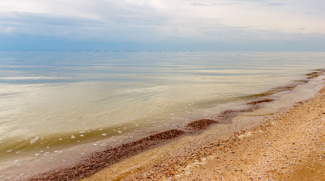A calm sea with a pebbly beach and distant ships.