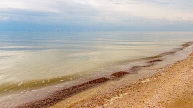 The sea coast with the sandy beach and the overcast sky. Taganrog bay, Azov sea, Russia