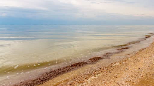 Rostov-na-Donu
