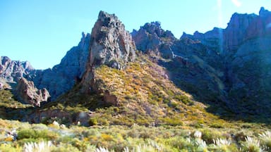Atuel Canyon. There are a lot of different kinds of rock formation.