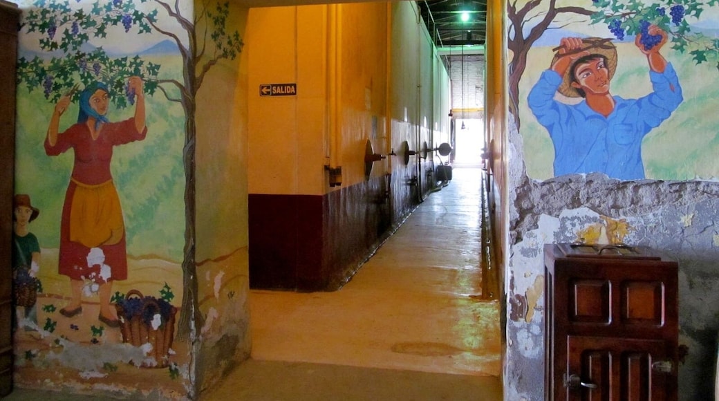 First cellar in San Rafael, Mendoza. Founded in 1888, with vanguardist engineering brought from France, at that time.