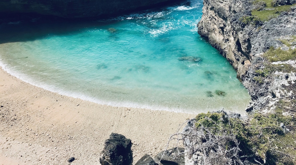 The classic walk along the east coast of Rodrigues island reveals many hidden beaches, the most famous of which is Trou d’argent. The island is always quiet, but in low season by only companions were the sheep and goats who graze along the shore. #Adventure