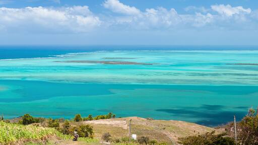 ๋ก๋๋ฆฌ๊ฒ์ค์์ผ๋๋