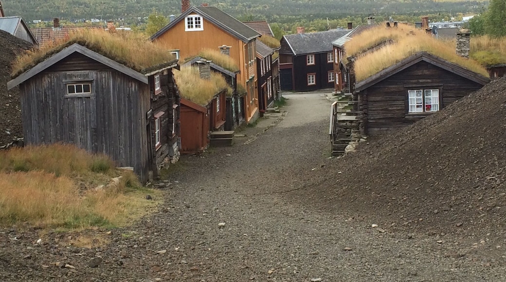 Some if the historic buildings in Røros. This used to be a mining community. This particular road was used for winter footage in Pippi Longstocking.
#røros #historicnorway #worldheritage #culturalheritage #LifeAtExpedia
