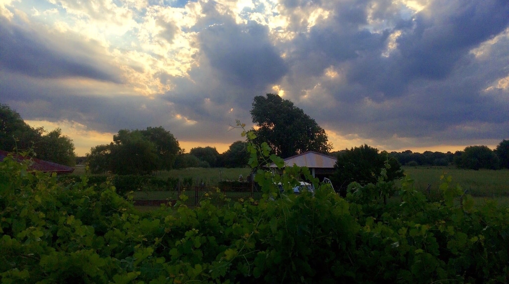 La belleza de la Pampa, Argentina me encantas
#trotamundeando
#roadtrip