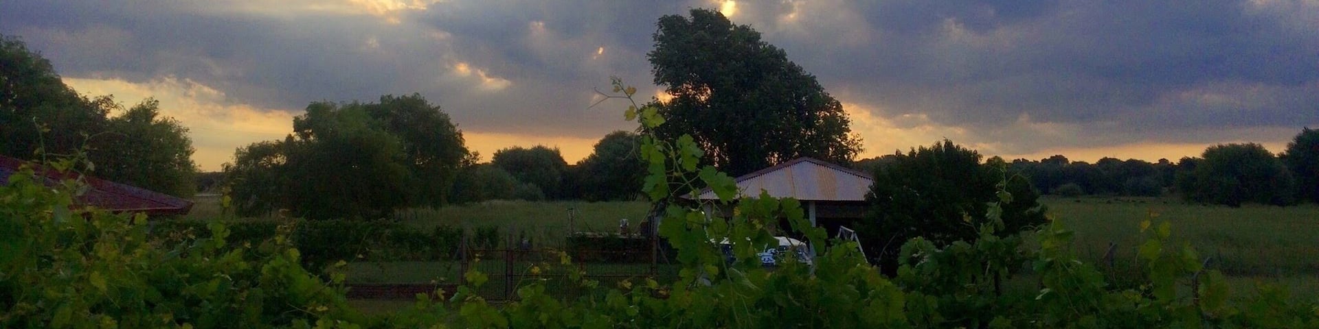 La belleza de la Pampa, Argentina me encantas
#trotamundeando
#roadtrip