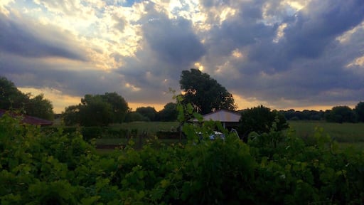 La belleza de la Pampa, Argentina me encantas
#trotamundeando
#roadtrip