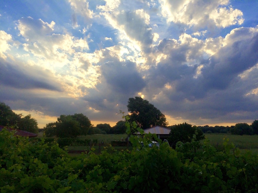 La belleza de la Pampa, Argentina me encantas
#trotamundeando
#roadtrip