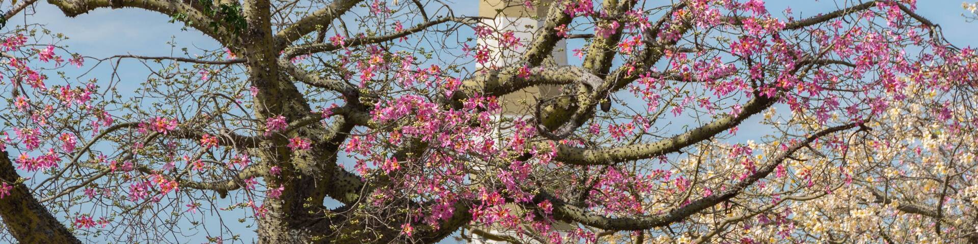 Faro de Santa Fe - Argentina