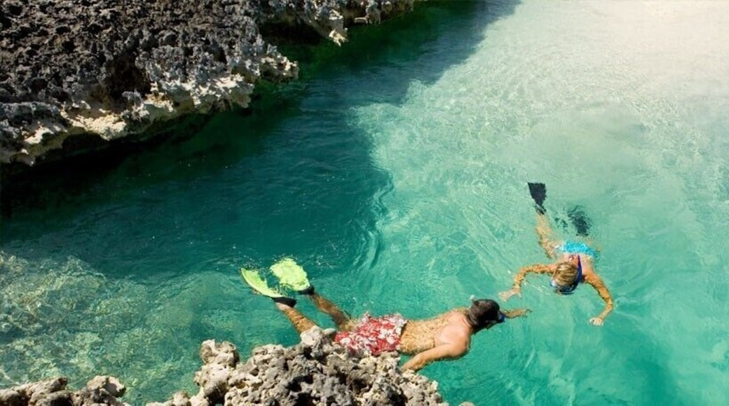 Swimming in crystal clear water