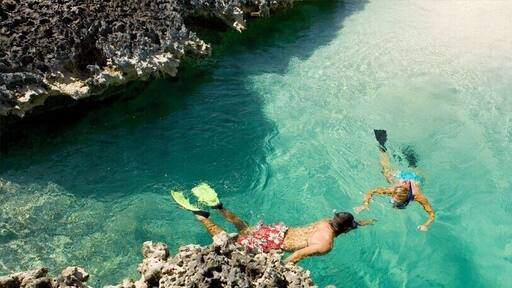 Swimming in crystal clear water