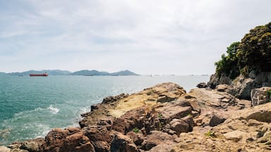 Panoramic view of Odongdo Island and sea in Yeosu, Korea