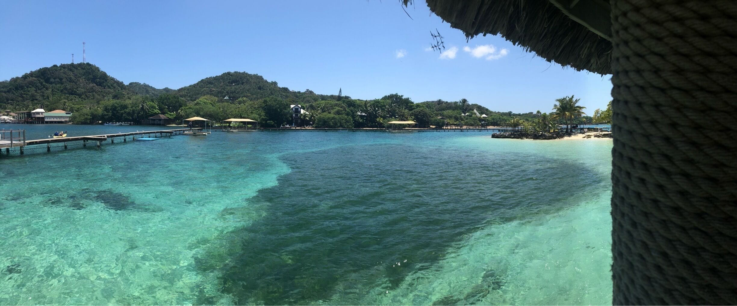 Swimming with Dolphins = amazing