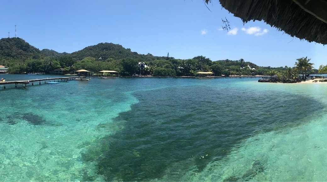 Swimming with Dolphins = amazing