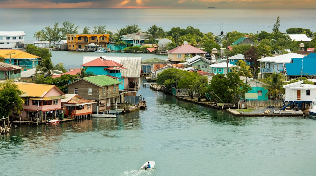 Oak Ridge area of Roatan Island, Honduras at sunrise