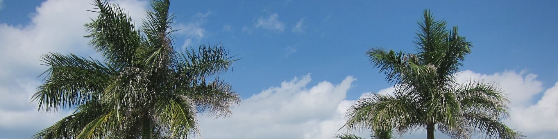 A great option to enjoy a quiet, relaxing holiday while visiting Roatan. There are a few dive options near by to enjoy the water to the fullest. Most units here have a fully equipped kitchen so make sure you buy some groceries for some quick meals.