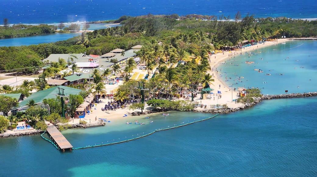 A tropical beach resort with palm trees, a sandy beach, and clear blue waters.