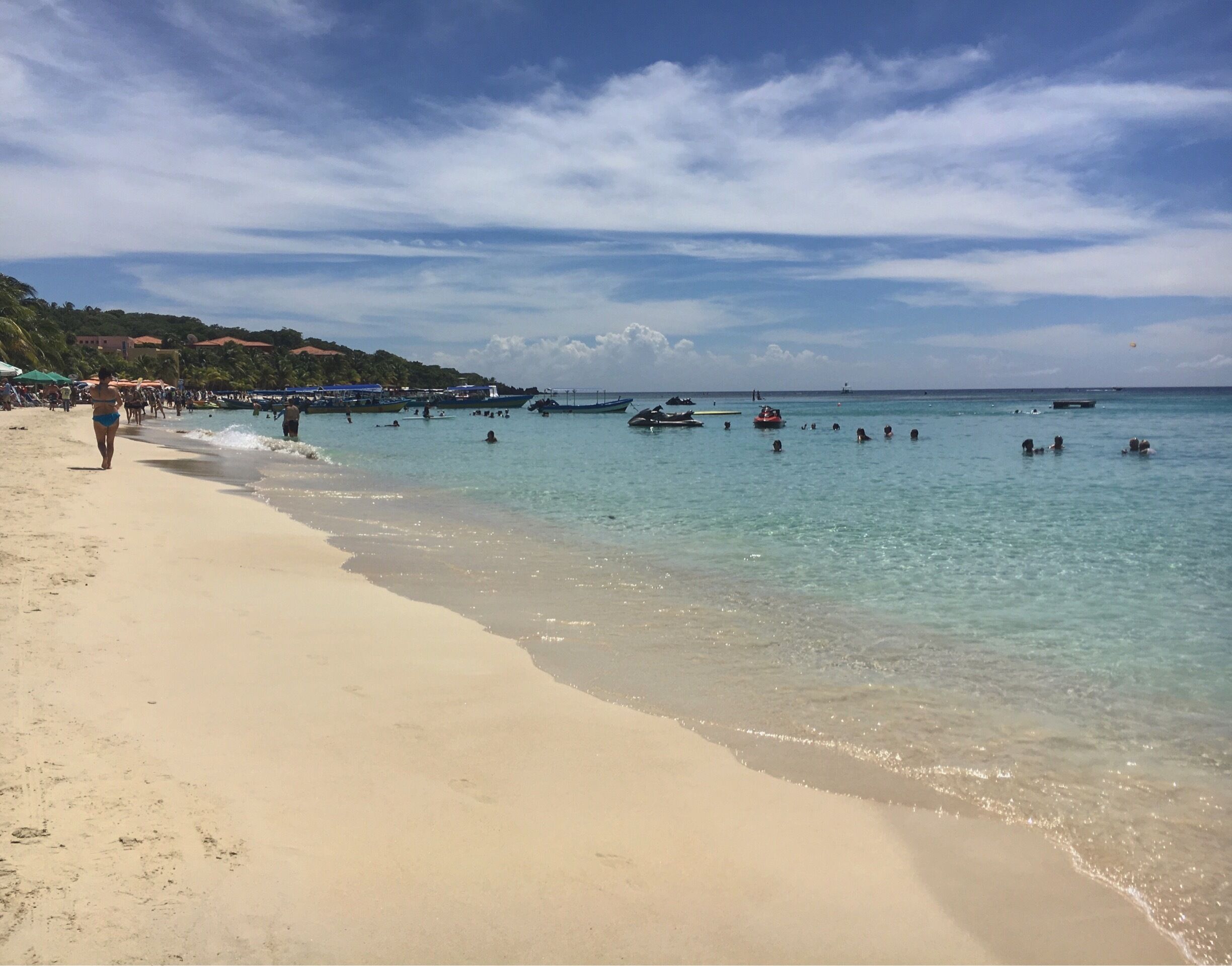 Such an awesome shore excursion, 11 station zip-line + this = bliss❤️ Roatan!