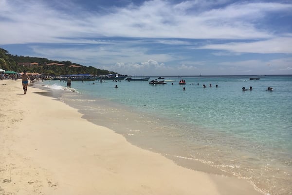 Such an awesome shore excursion, 11 station zip-line + this = bliss❤️ Roatan!