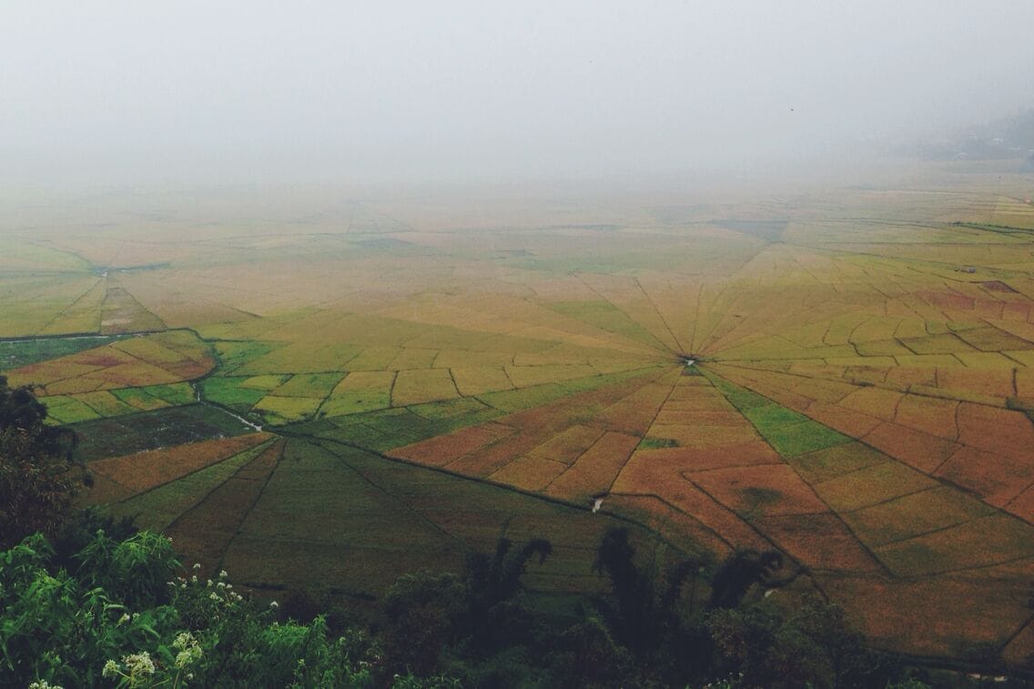 You can find this hidden gem near Ruteng in Flores. On the ground it just looks like normal rice fields. Climbing up and looking down from the mountain makes you realize it's not. Ask a motorbike driver to take you here, he will know. 

#ricefields #ruteng #flores #indonesia