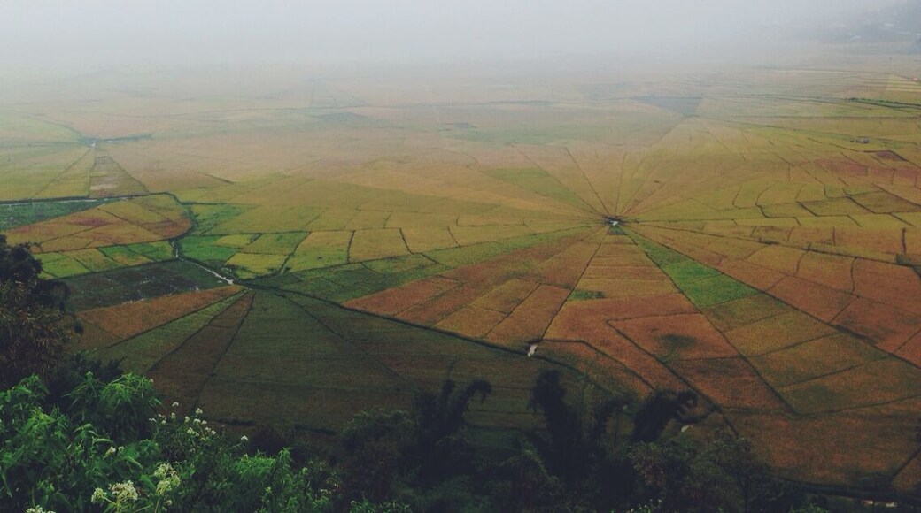 You can find this hidden gem near Ruteng in Flores. On the ground it just looks like normal rice fields. Climbing up and looking down from the mountain makes you realize it's not. Ask a motorbike driver to take you here, he will know.
#ricefields #ruteng #flores #indonesia