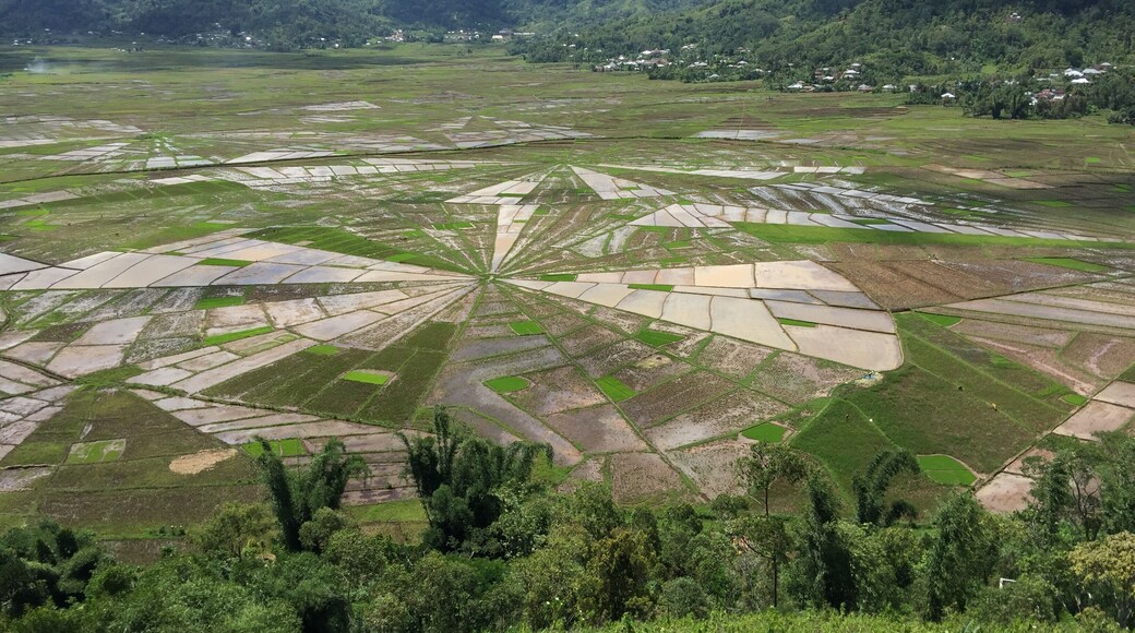 It is unusual rice field which is not found elsewhere. It is about 100 km from Labuhanbajo.