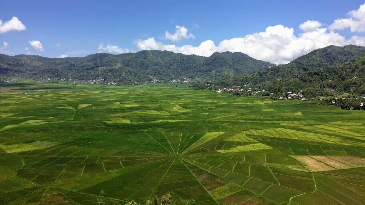 Spiderweb Rice Fields, Cancar, Ruteng, Flores, Indonesia. 

Just outside of Ruteng in Flores (30 mins by motorbike) you’ll find these impressive spiderweb shaped rice fields (Lingko Cara). A short 5 minute hike up a hill and 20k pp and you’re rewarded with this amazing view. #packsandaplan