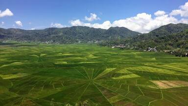 Um vasto campo agrícola verde com padrões em terraços, rodeado por colinas arborizadas e um pequeno povoado ao longe.