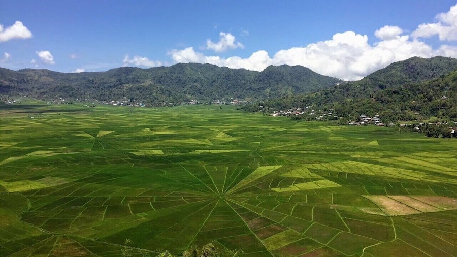 Spiderweb Rice Fields, Cancar, Ruteng, Flores, Indonesia.
Just outside of Ruteng in Flores (30 mins by motorbike) you’ll find these impressive spiderweb shaped rice fields (Lingko Cara). A short 5 minute hike up a hill and 20k pp and you’re rewarded with this amazing view. #packsandaplan