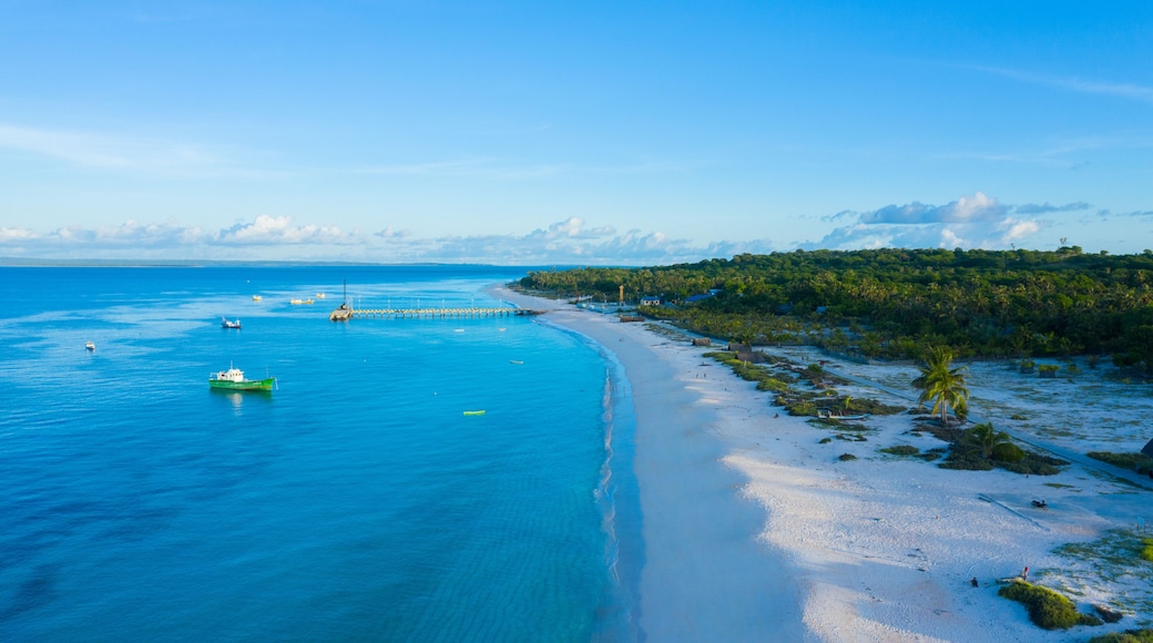 Rote Island - Indonesia (Nusa Tenggara Timur)