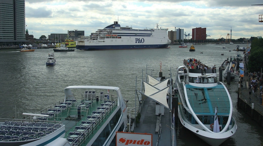 Spido Rotterdam, sightseeing on the water.
http://spido.nl/en