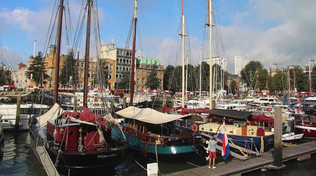 Veerhaven is a small harbor for private yachts in a historic part of the city.
http://www.veerhavenrotterdam.nl/?lang=en