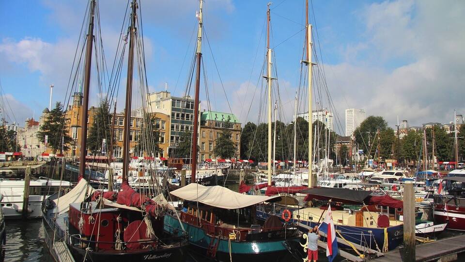 A marina with multiple sailboats docked, surrounded by buildings and trees.