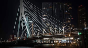I captured the Erasmusbrug in Rotterdam City.