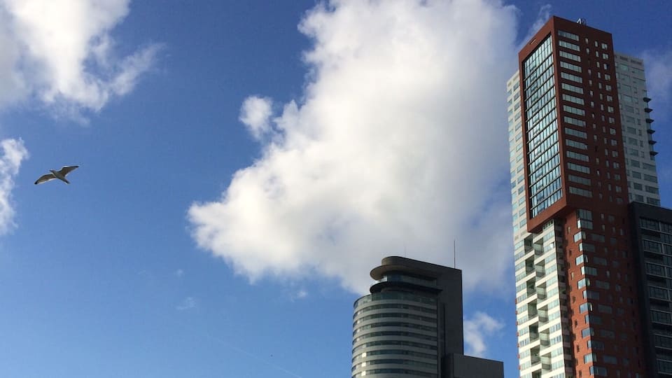 Very cool city all around beautiful architectures.