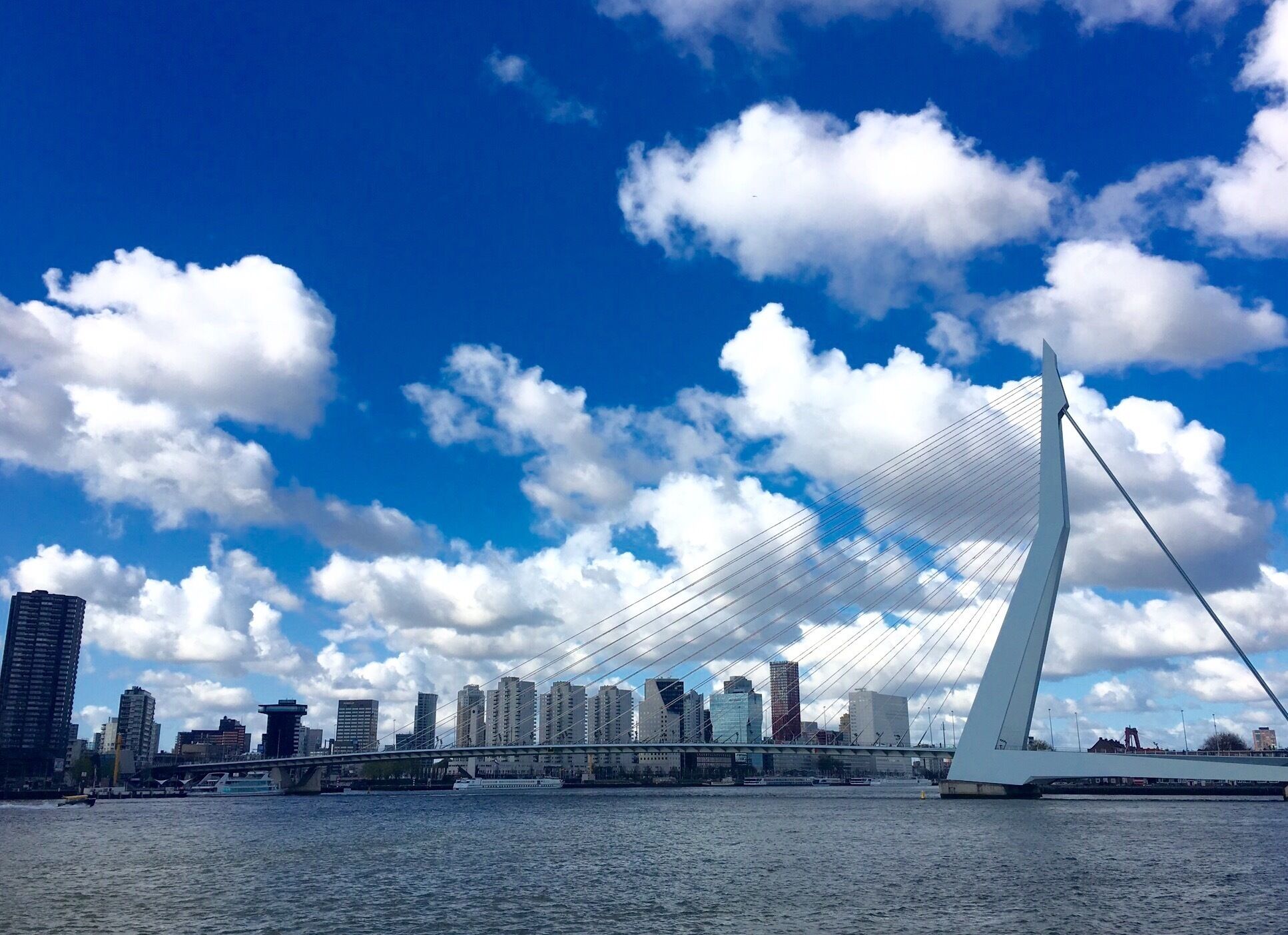Last days in Rotterdam! Amazing view of the Erasmusbrug, which connecting the north and south parts of the city!! 
This bridge is called because of its shape, "De Zwaan", or "The Swan" and is considered one of the symbols of the city!! 🔝🇳🇱 🔷 #blue