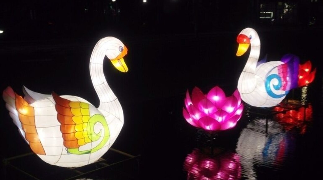 Lighting city with oriental automospher