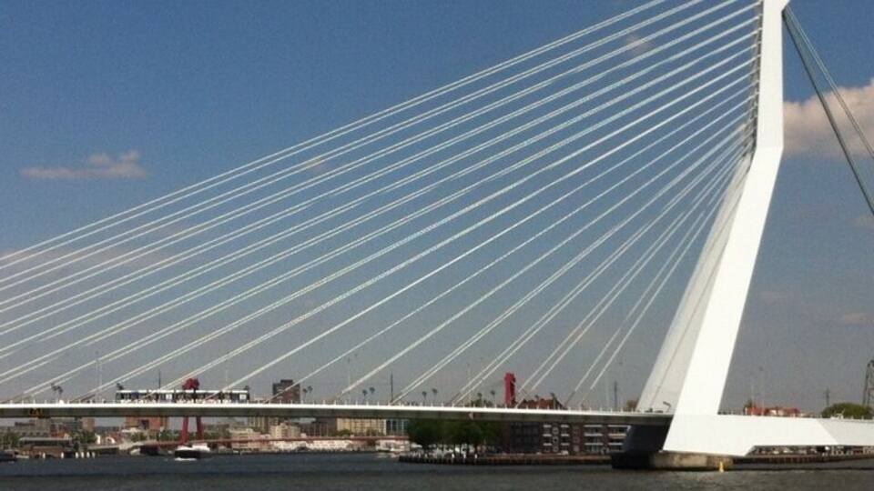 A cable-stayed bridge with multiple cables and a white tower.
