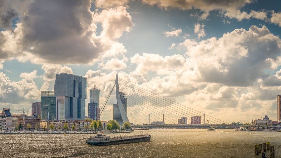 From Willemsbridge, you’ll have a great panoramic view of Rotterdam, with: Maas River, Erasmusbridge, Euromast tower and other highrise
JUST FOLLOW THE PIN 📌
⬇️⬇️ Make my day and follow me also at: ⬇️⬇️
https://www.instagram.com/denniskuh1896/
https://www.facebook.com/dennisdondersphotography/
https://500px.com/dennisdonders
www.flickr.com/photos/denniskuh1896