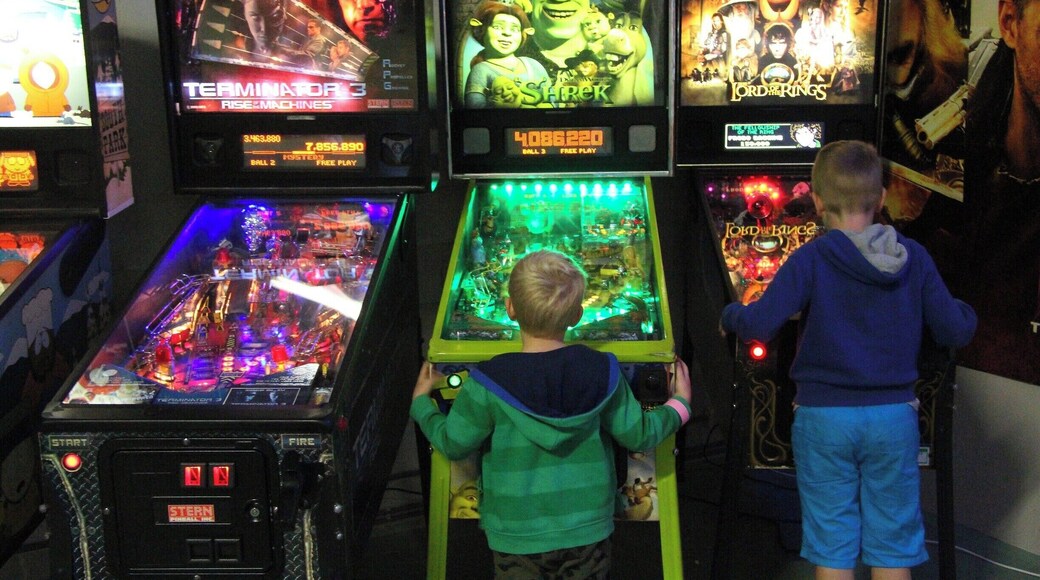 Pinball who remembers these Fun machines in the Modern World ?
A museum were everybody can play again like old times...
http://www.dutchpinballmuseum.com/